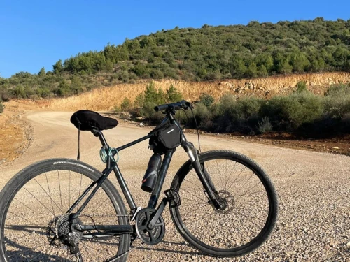Velo GIANT