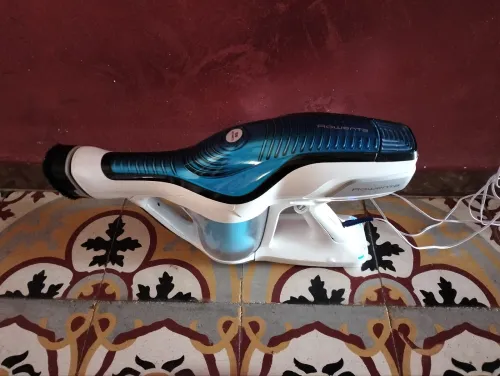 Aspirateur Bissell flex 