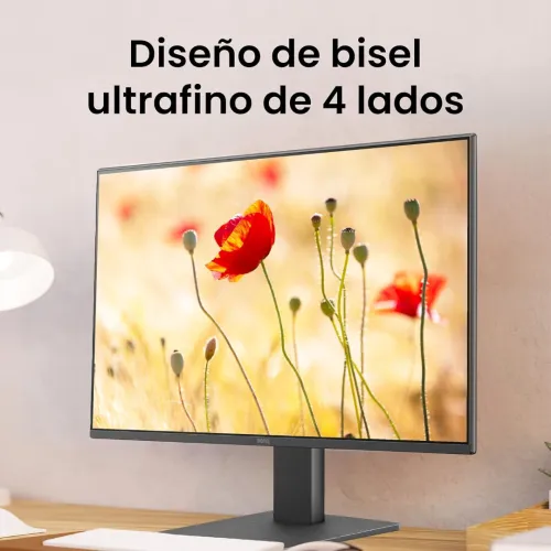 BENQ 24 ps GW2491 IPS  100HZ 99%SRGB