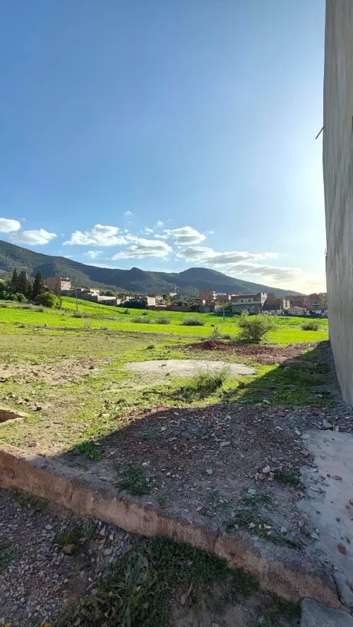 Vente Terrain Aïn Defla Ain defla