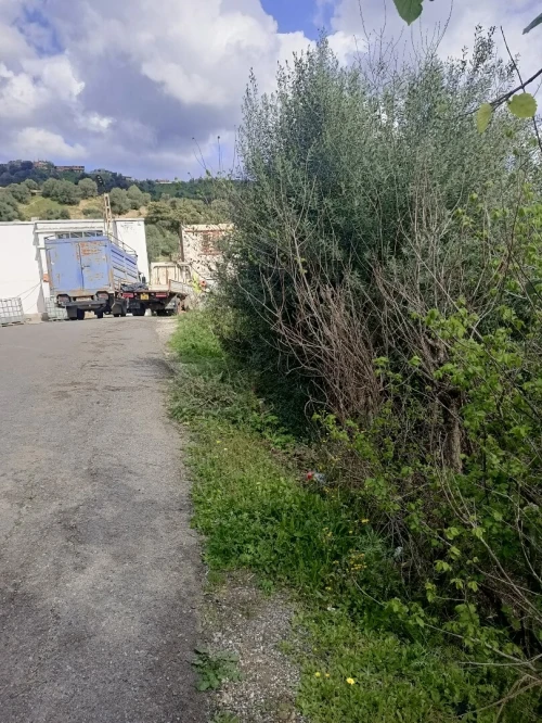 Vente Terrain Tizi Ouzou Mkira