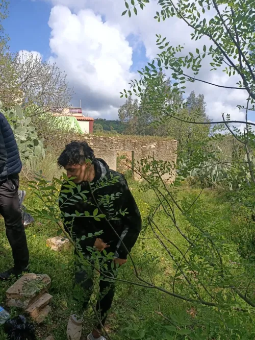 Vente Terrain Tizi Ouzou Mkira