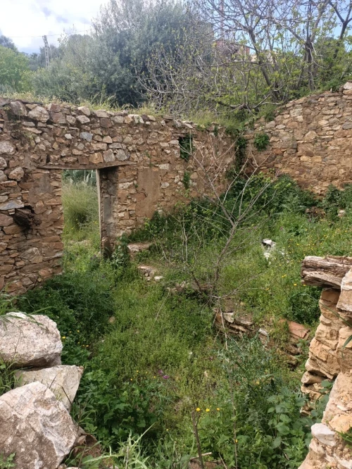 Vente Terrain Tizi Ouzou Mkira