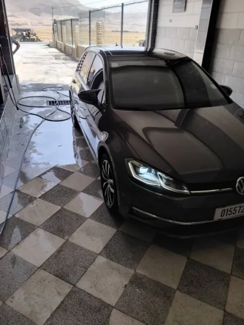 Volkswagen Golf 7 2019 Golf 7