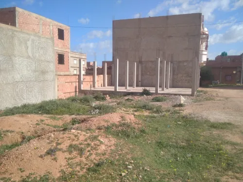 Vente Terrain Mostaganem Hassi maameche