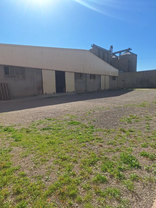 Location Hangar - Usine Sétif Setif