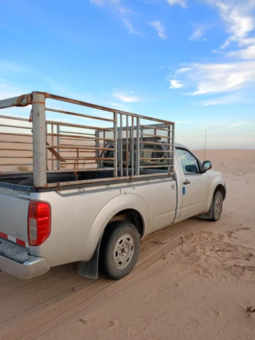 Nissan Navara 2015 Navara