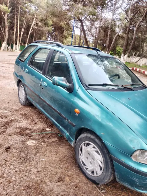 Fiat Palio 1999 Palio