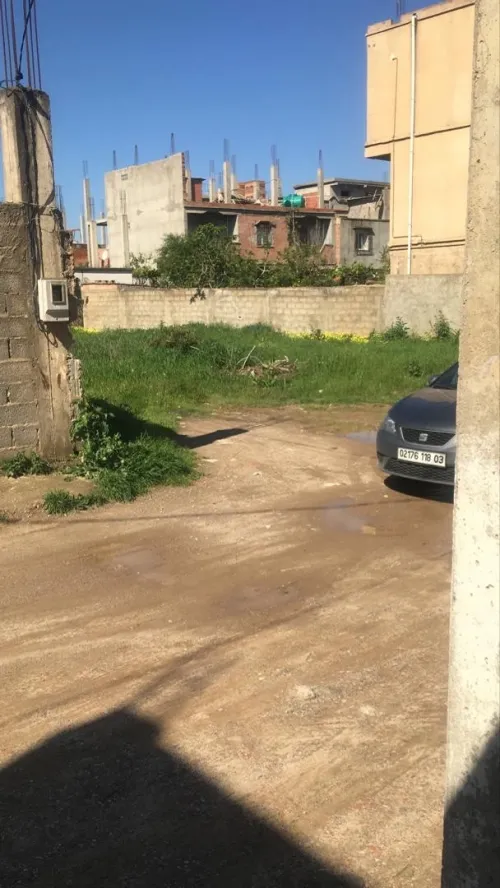 Vente Terrain Boumerdes Hammedi