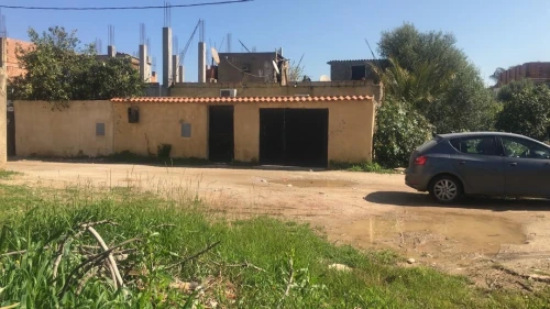 Vente Terrain Boumerdes Hammedi