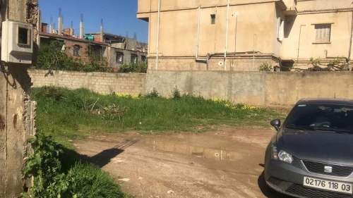 Vente Terrain Boumerdes Hammedi