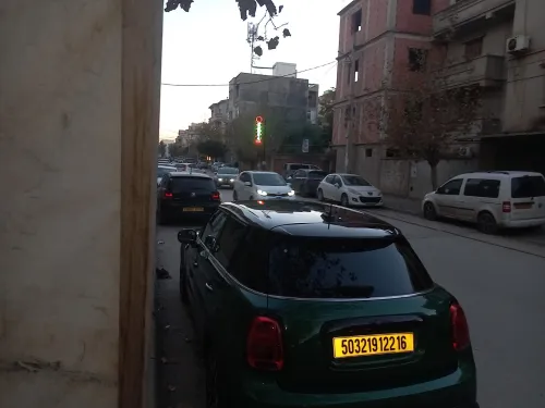 Mini Mini 2022 Mini