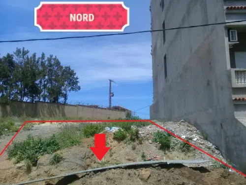 Vente Terrain Alger Bouzareah