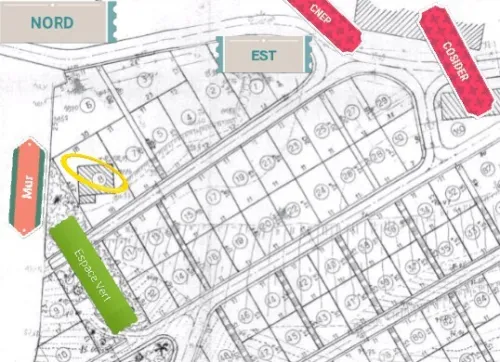 Vente Terrain Alger Bouzareah