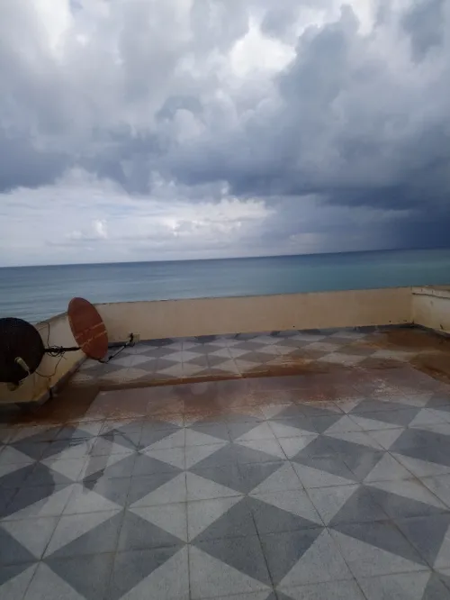 Vente Immeuble Tipaza Tipaza
