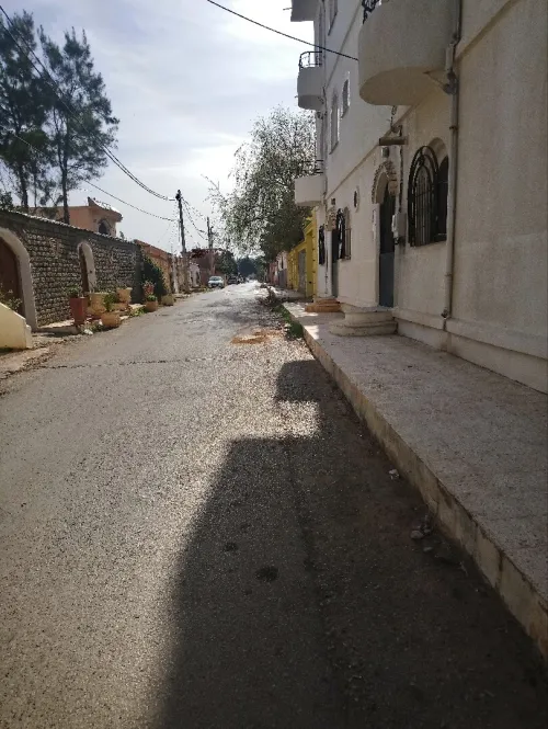 Location Immeuble Tipaza Tipaza