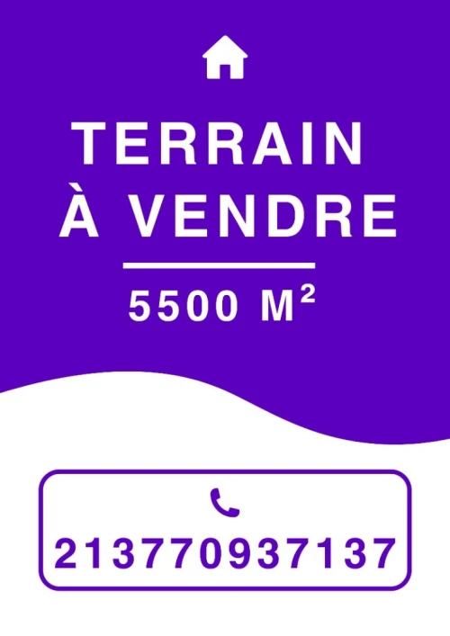 Vente Terrain Alger Rouiba