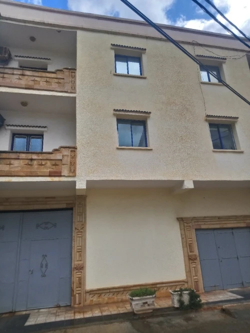 Vente Immeuble Tipaza Tipaza