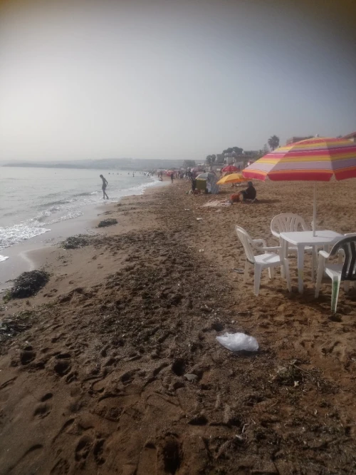 Vente Immeuble Tipaza Tipaza