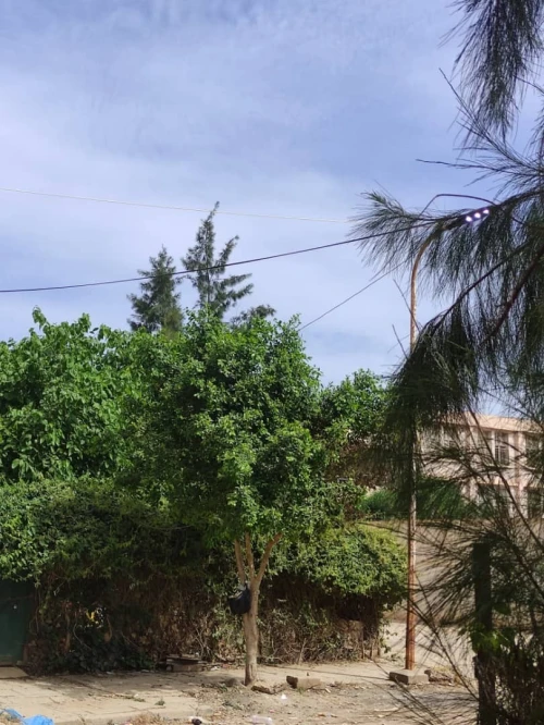 Vente Appartement F3 Chlef El karimia