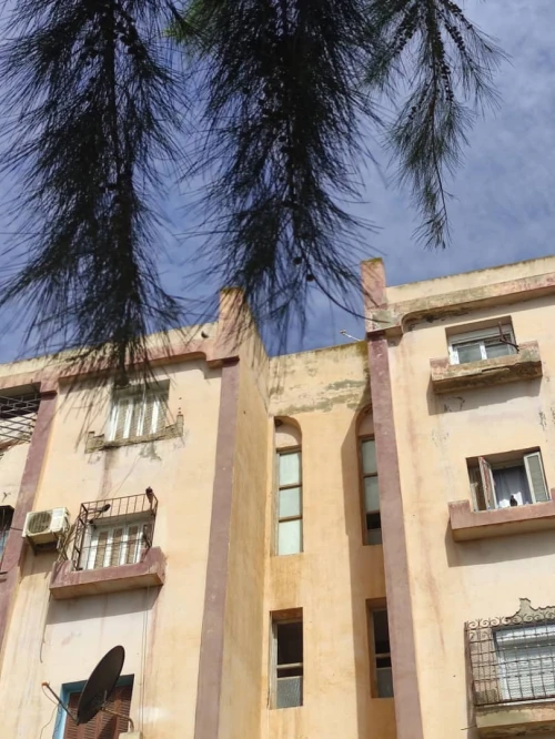 Vente Appartement F3 Chlef El karimia