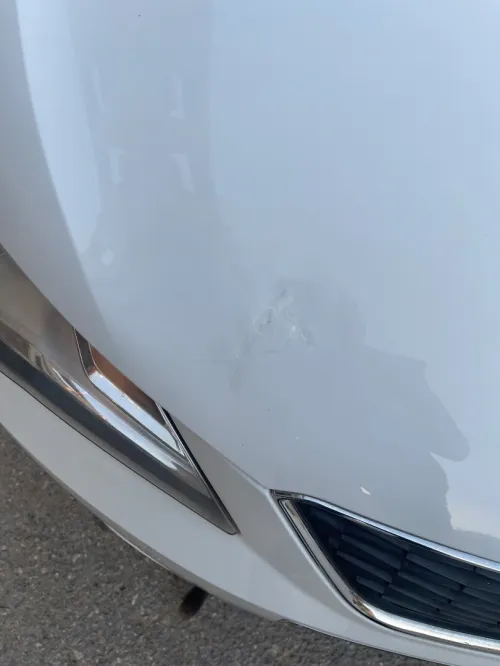 Seat Ibiza 2015 Fully
