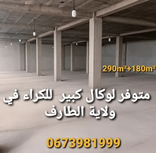 Location Local El Tarf El taref