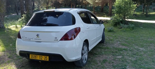 Peugeot 308 2012 Activ