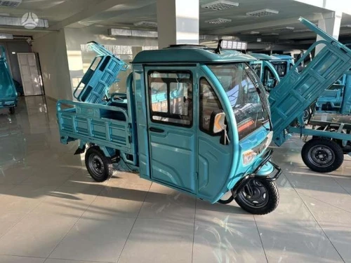 Camionnette moto tricycle électrique 3 roues Cargo 1000W