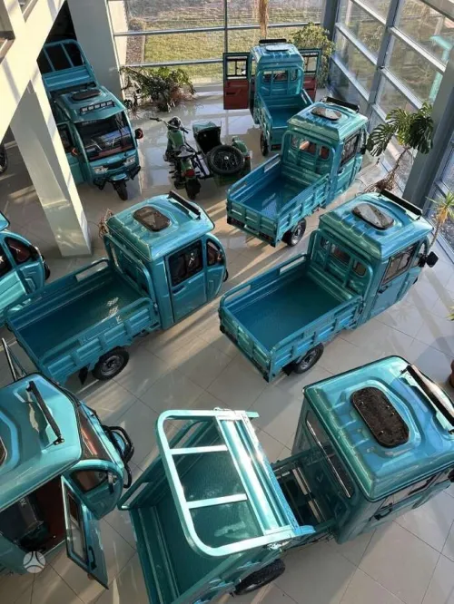 Camionnette moto tricycle électrique 3 roues Cargo 1000W