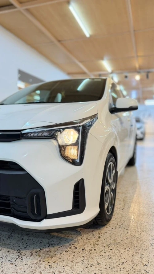 Kia Picanto 2025 Picanto