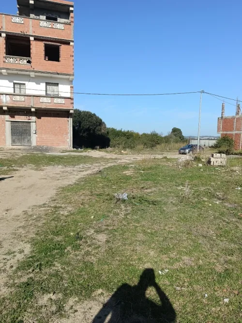 Vente Terrain Blida Ben khellil