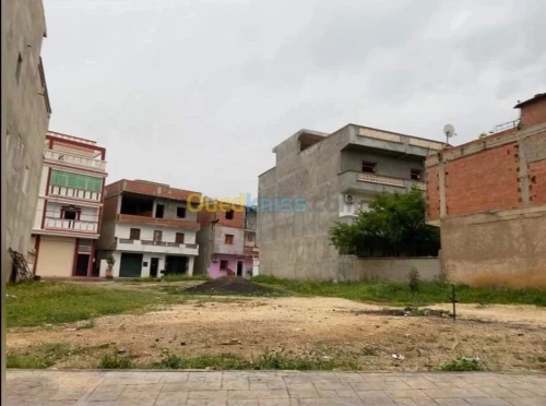 Vente Terrain Guelma Hammam maskhoutine