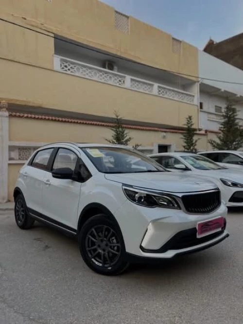 Livan X3 Pro  2026 Automatique (Avec toi ouvrant )