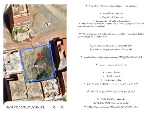 Vente Terrain Alger Bouzareah