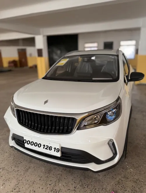 Lifan x 3 pro 2026 International +Dachcame