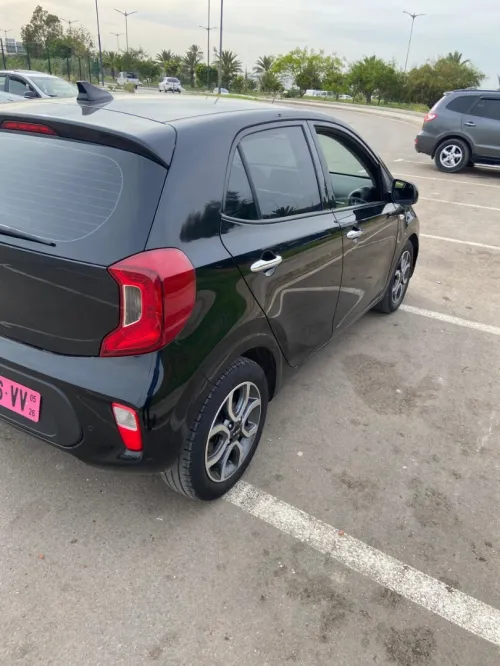 Kia Picanto 2023 Morning