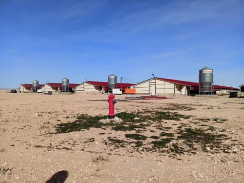 Hangar en charpente métallique clé en main هنقرات و هياكل معدنية