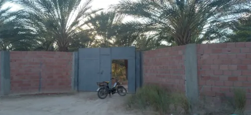 Vente Terrain Agricole Biskra Tolga