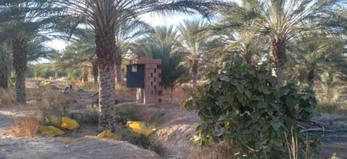 Vente Terrain Agricole Biskra Tolga