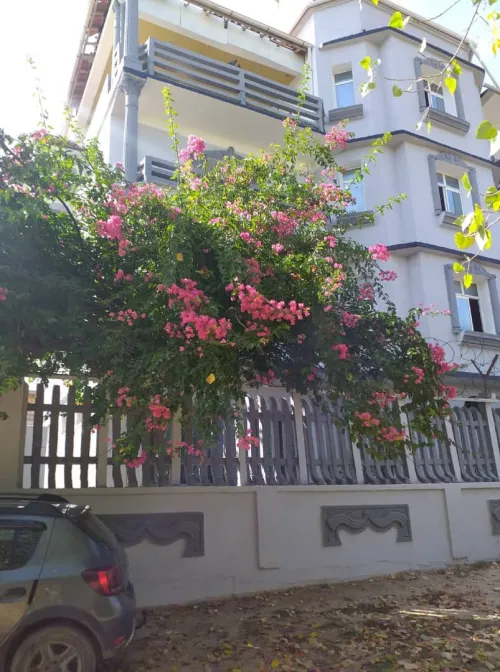 Vente Villa El Tarf El kala