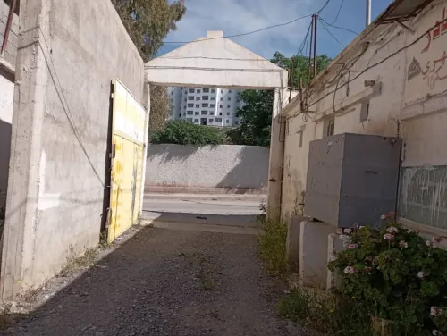 Location Hangar Constantine Constantine