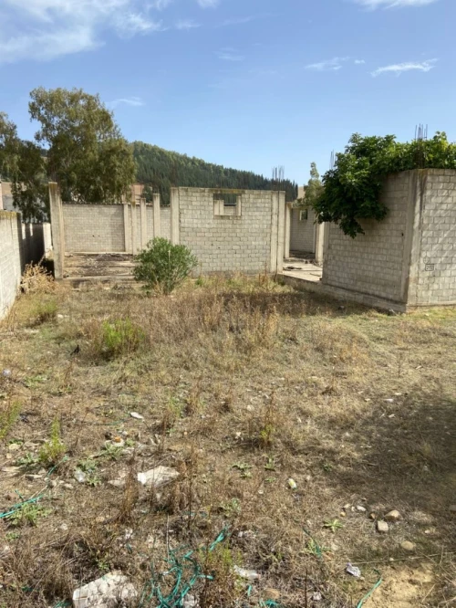 Vente Terrain Constantine Zighoud youcef