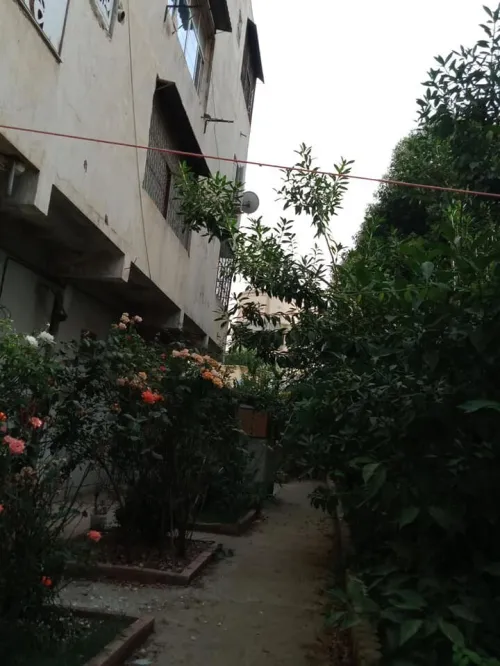 Vente Appartement Niveau de villa F3 Constantine Constantine