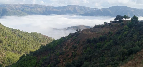 Vente Terrain Sétif Beni ouartilene