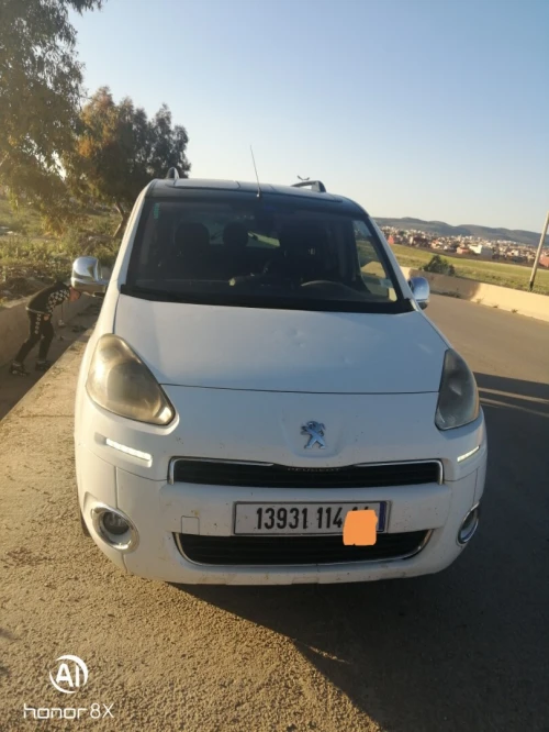 Peugeot Partner 2014 Tepee