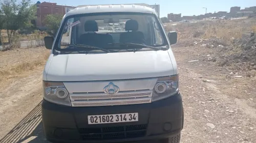 Shana Mini camion 2014