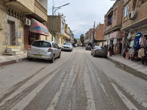 Vente Immeuble Skikda Sidi mezghiche