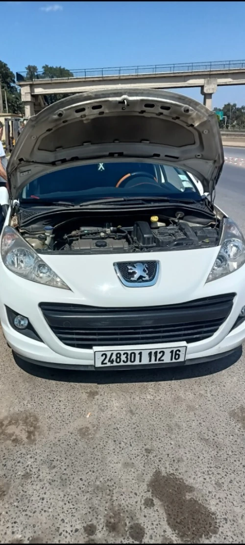 Peugeot 207 2012 Fennec