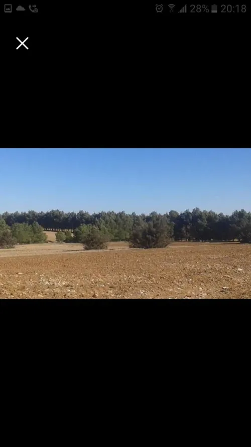 Vente Terrain Agricole Djelfa Dar chioukh